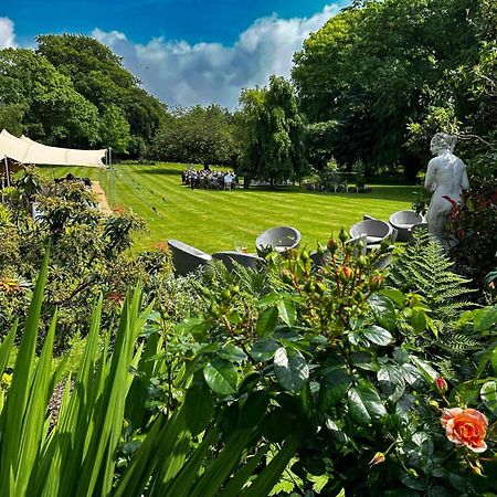 Plas Dinas Country House Guest House Caernarfon Exterior photo